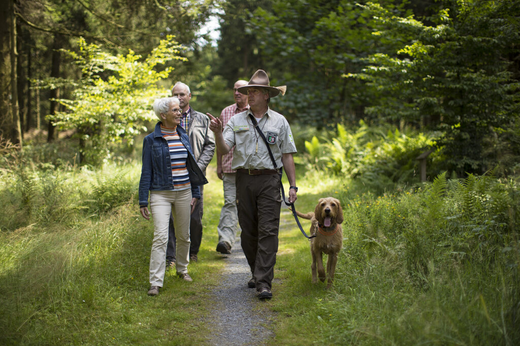 Eine Wandergruppe ist mit einem Ranger und einem Hund auf einem naturbelassenen Weg im Wald am Diemelsee unterwegs. Die Gruppe bewegt sich durch dichtes Grün, umgeben von Bäumen und Sträuchern. Der Ranger führt die Gruppe und vermittelt Wissen über Natur und Umgebung.